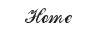 home button